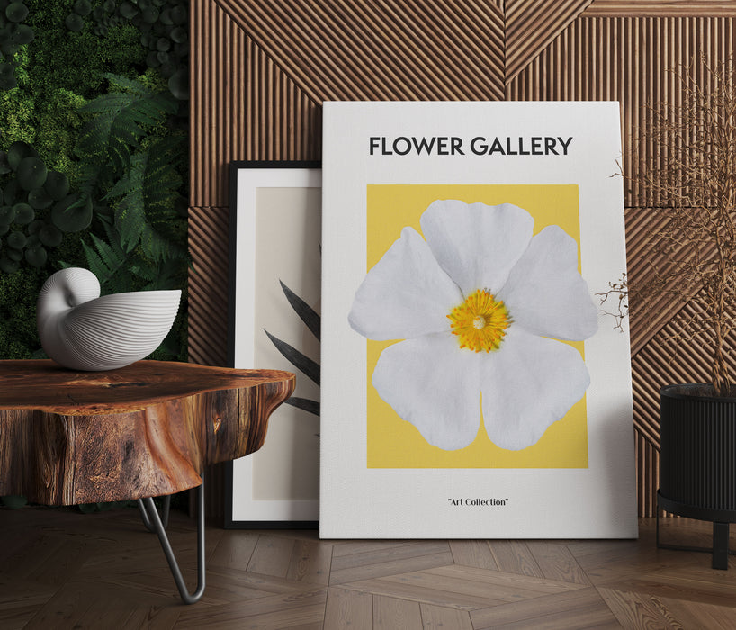 Flower Gallery  - Herbstanemone Anemone, Leinwandbild