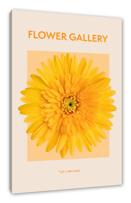 Pixxprint Flower Gallery - Orange Gerbera III, Leinwandbild