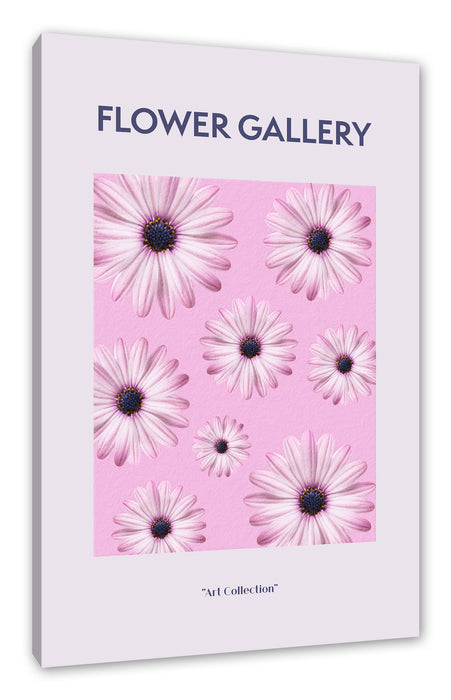 Flower Gallery  - Rosa Margerite II, Leinwandbild