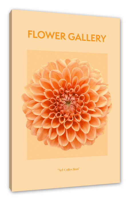 Pixxprint Flower Gallery - Rosa Chrysantheme II, Leinwandbild