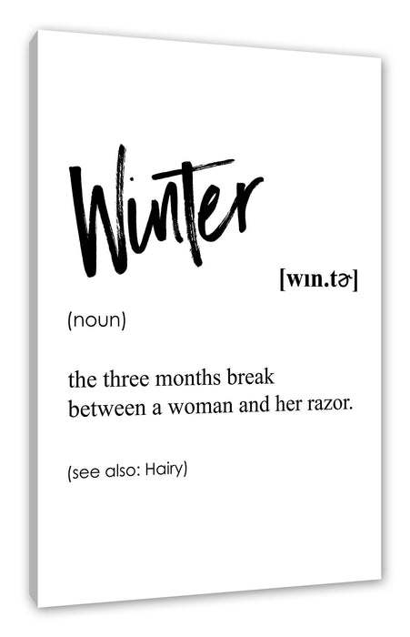 Pixxprint Lexikon Sprüche - Winter, Leinwandbild