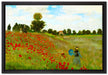 Claude Monet - Felder um Argenteuil  auf Leinwandbild gerahmt Größe 60x40