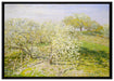 Claude Monet - Frühling Apfelbäume in der Blüte auf Leinwandbild gerahmt Größe 100x70