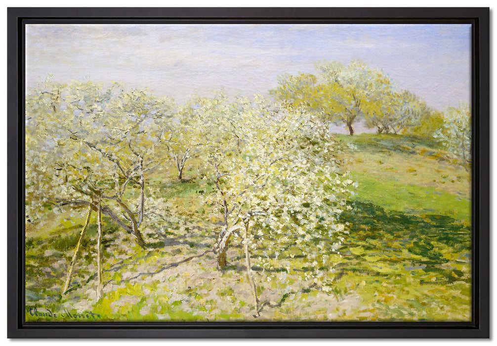 Claude Monet - Frühling Apfelbäume in der Blüte  auf Leinwandbild gerahmt Größe 60x40