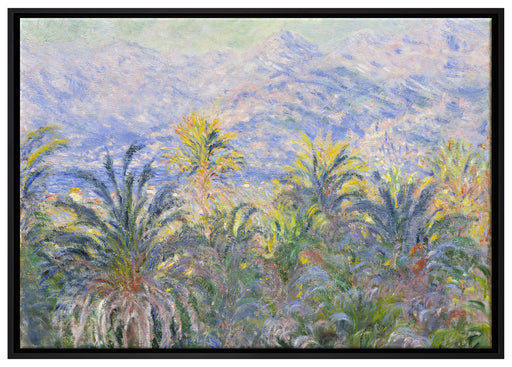 Claude Monet - Palmen in Bordighera auf Leinwandbild gerahmt Größe 100x70