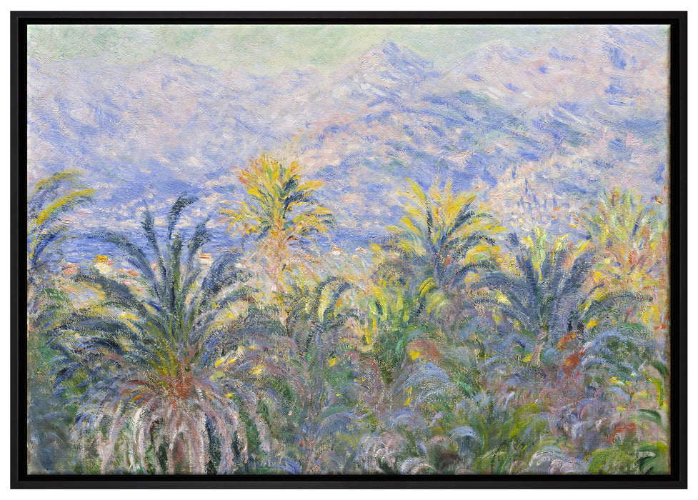 Claude Monet - Palmen in Bordighera auf Leinwandbild gerahmt Größe 100x70