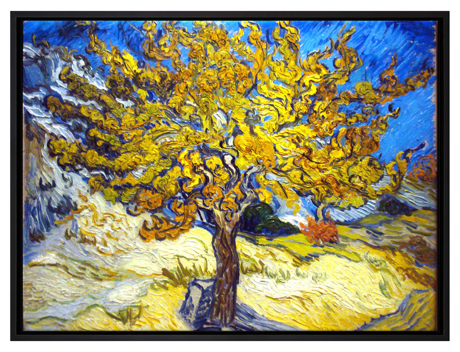 Vincent Van Gogh - Maulbeerbaum  auf Leinwandbild gerahmt Größe 80x60