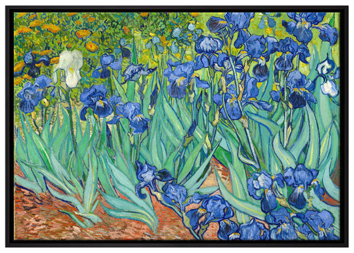 Vincent Van Gogh - Schwertlilien auf Leinwandbild gerahmt Größe 100x70