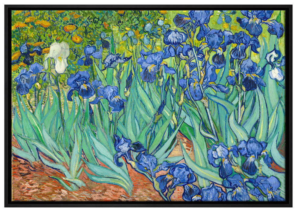 Vincent Van Gogh - Schwertlilien auf Leinwandbild gerahmt Größe 100x70