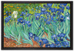 Vincent Van Gogh - Schwertlilien  auf Leinwandbild gerahmt Größe 60x40