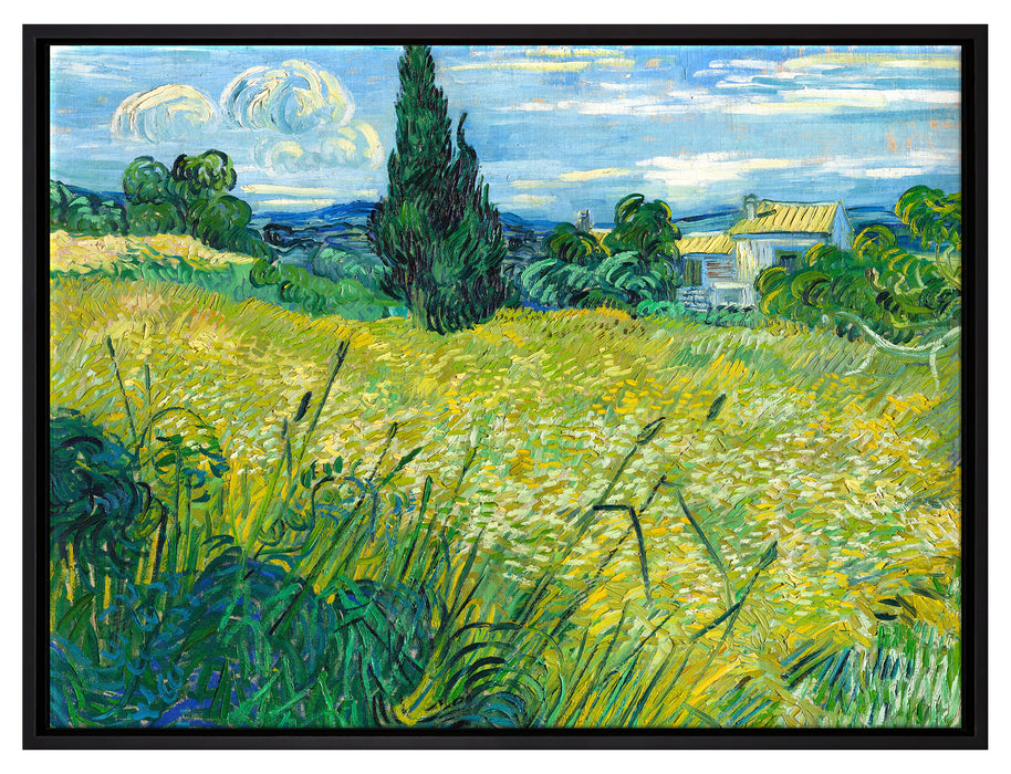 Vincent Van Gogh - Grünes Weizenfeld mit Zypressen  auf Leinwandbild gerahmt Größe 80x60