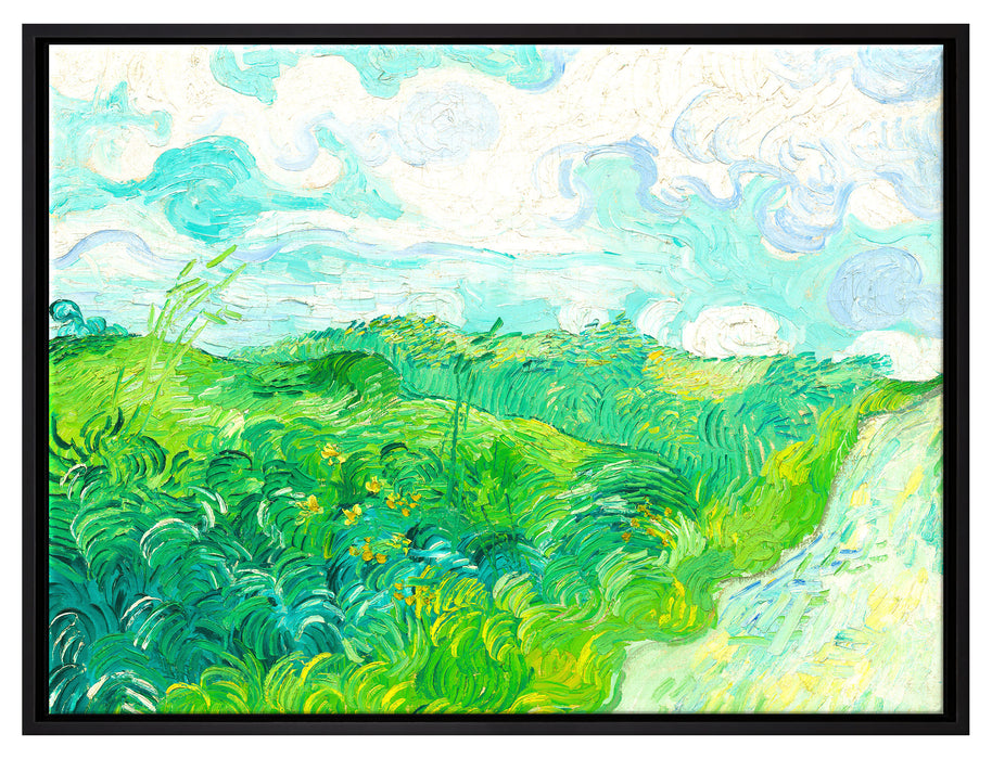 Vincent Van Gogh - Feld mit grünem Weizen  auf Leinwandbild gerahmt Größe 80x60