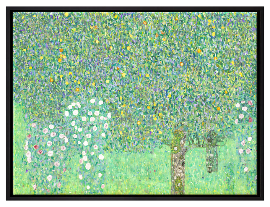 Gustav Klimt - Rosen unter Bäumen  auf Leinwandbild gerahmt Größe 80x60