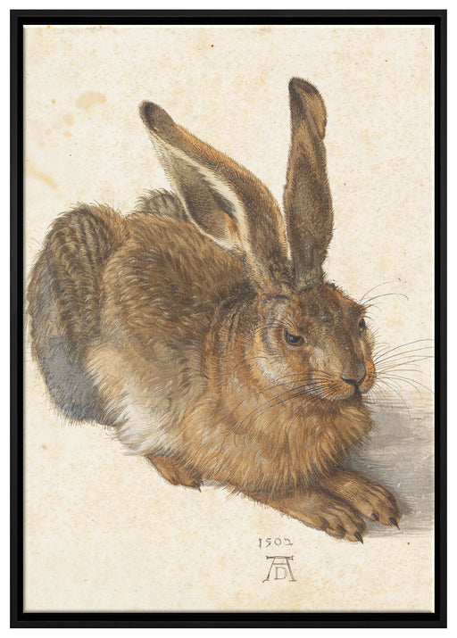 Albrecht Dürer - Feldhase  auf Leinwandbild gerahmt Größe 100x70