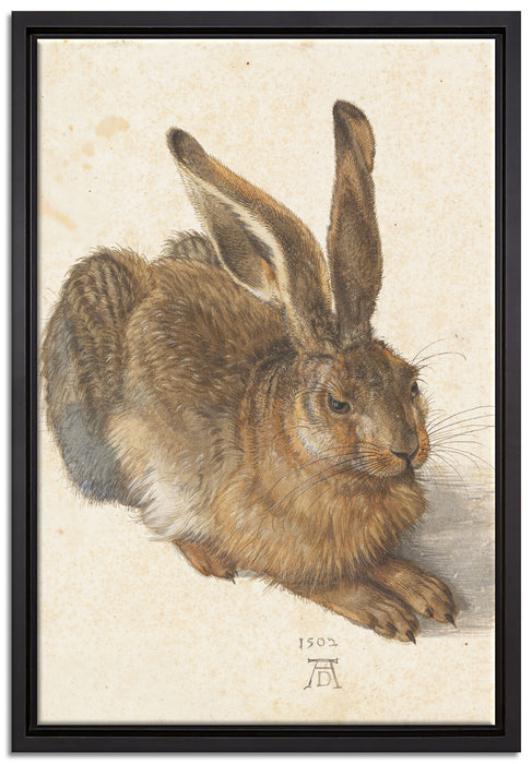 Albrecht Dürer - Feldhase   auf Leinwandbild gerahmt Größe 60x40