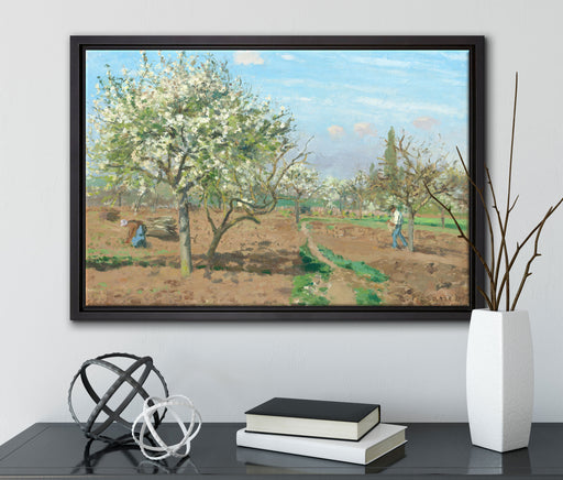 Camille Pissarro - Orchard in Blossom Louveciennes  auf Leinwandbild gerahmt mit Kirschblüten