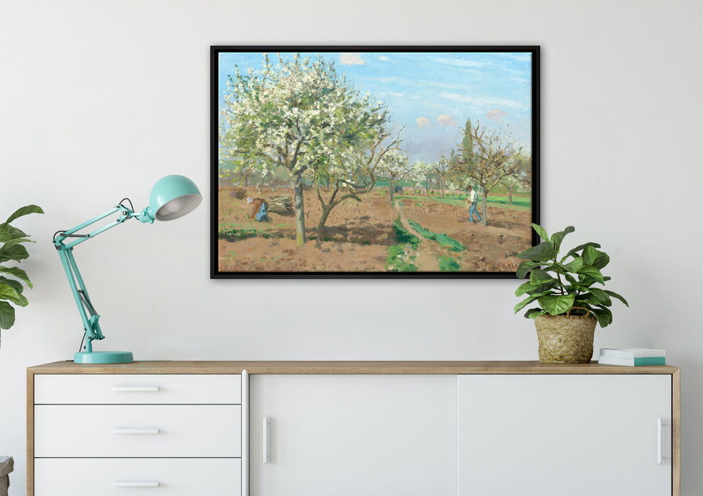 Camille Pissarro - Orchard in Blossom Louveciennes  auf Leinwandbild gerahmt verschiedene Größen im Wohnzimmer