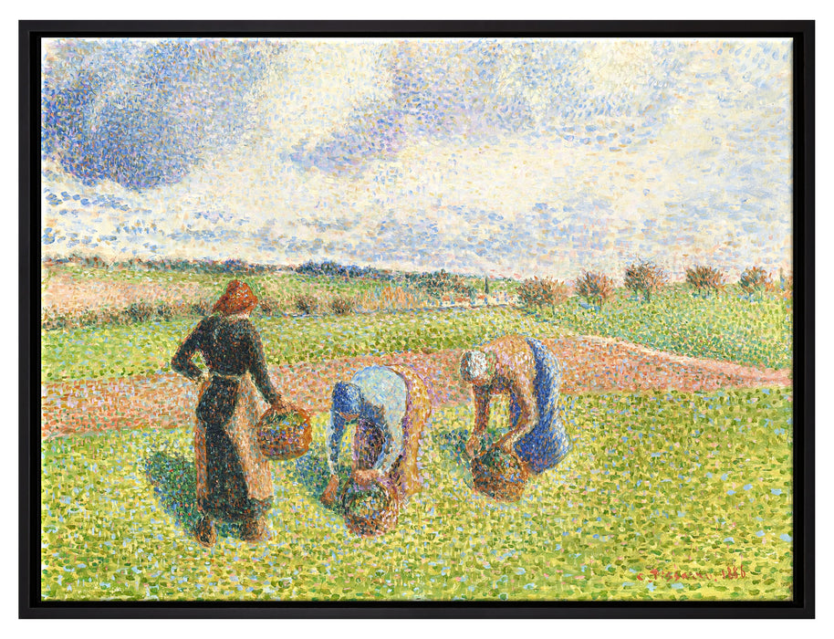 Camille Pissarro - PAYSANNES RAMASSANT DES HERBES ÉRAG  auf Leinwandbild gerahmt Größe 80x60