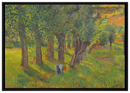 Camille Pissarro - LE CHOU À PONTOISE  auf Leinwandbild gerahmt Größe 100x70
