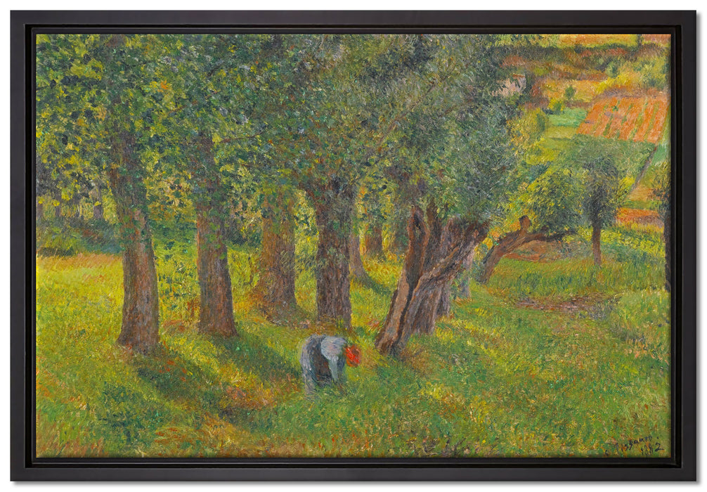 Camille Pissarro - LE CHOU À PONTOISE   auf Leinwandbild gerahmt Größe 60x40