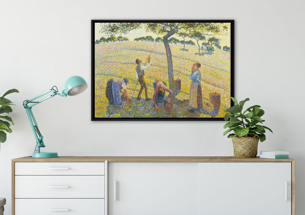 Camille Pissarro - Apple Harvest auf Leinwandbild gerahmt verschiedene Größen im Wohnzimmer