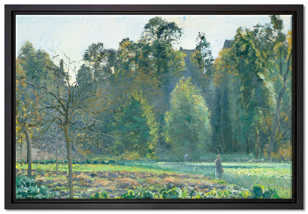 Camille Pissarro - Le champ de chou Pontoise  auf Leinwandbild gerahmt Größe 60x40