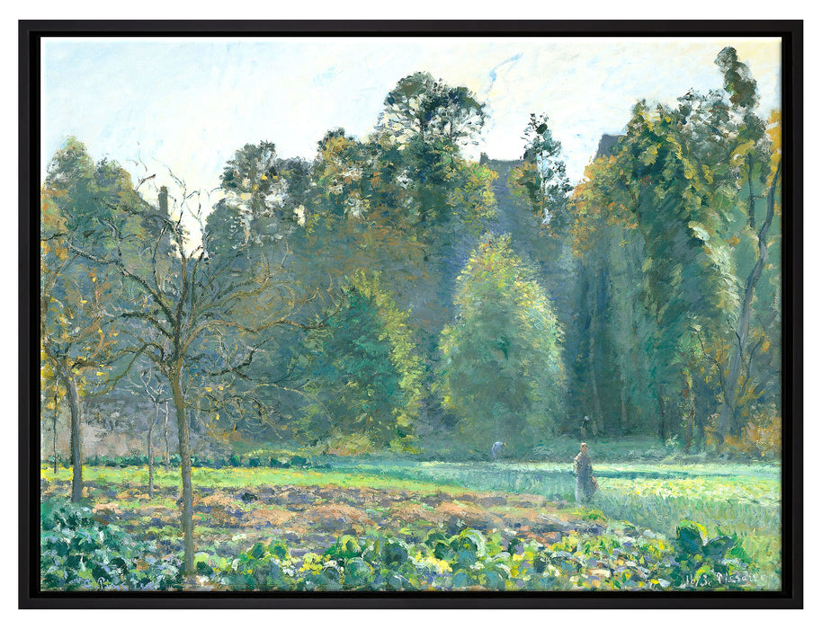 Camille Pissarro - Le champ de chou Pontoise  auf Leinwandbild gerahmt Größe 80x60