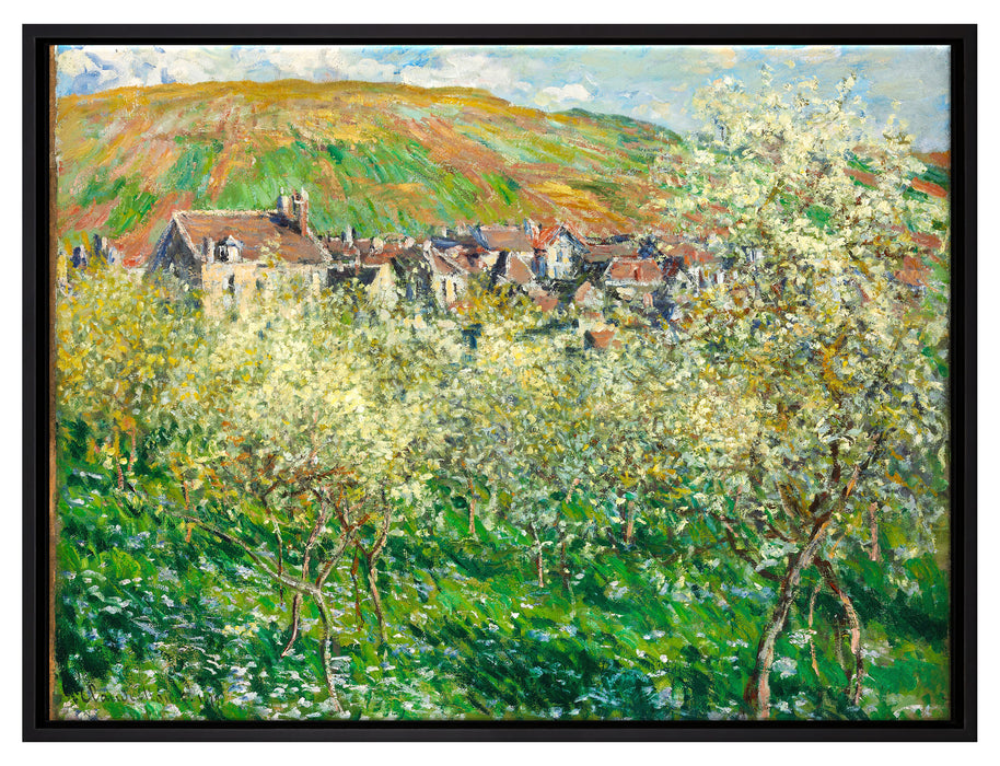 Claude Monet - Blühende Pflaumenbäume   auf Leinwandbild gerahmt Größe 80x60