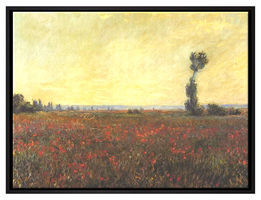 Claude Monet - Mohnfeld I  auf Leinwandbild gerahmt Größe 80x60
