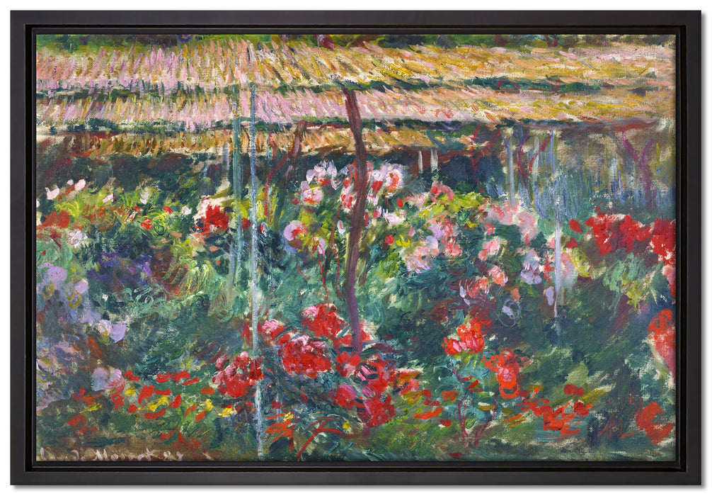 Claude Monet - Pfingstrosen-Garten   auf Leinwandbild gerahmt Größe 60x40