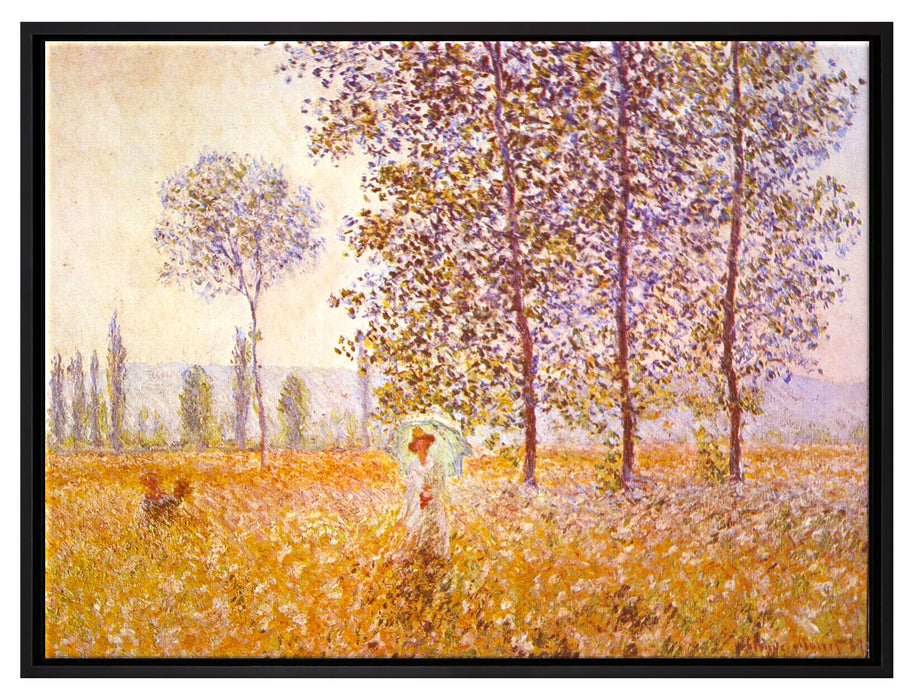 Claude Monet - Pappeln im Sonnenlicht   auf Leinwandbild gerahmt Größe 80x60
