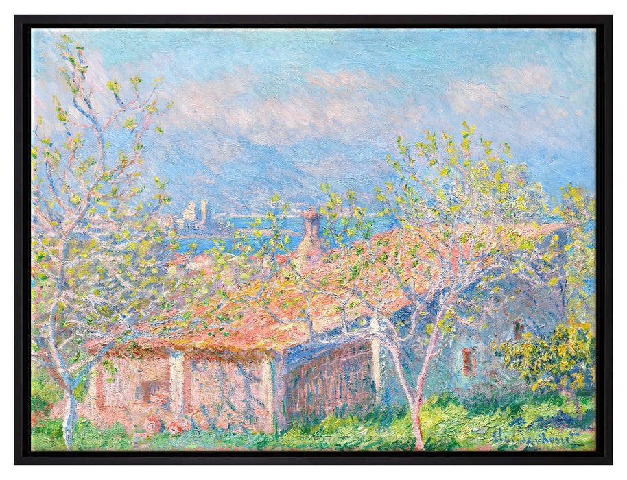 Claude Monet - Gärtner Häuschen in Antibes  auf Leinwandbild gerahmt Größe 80x60