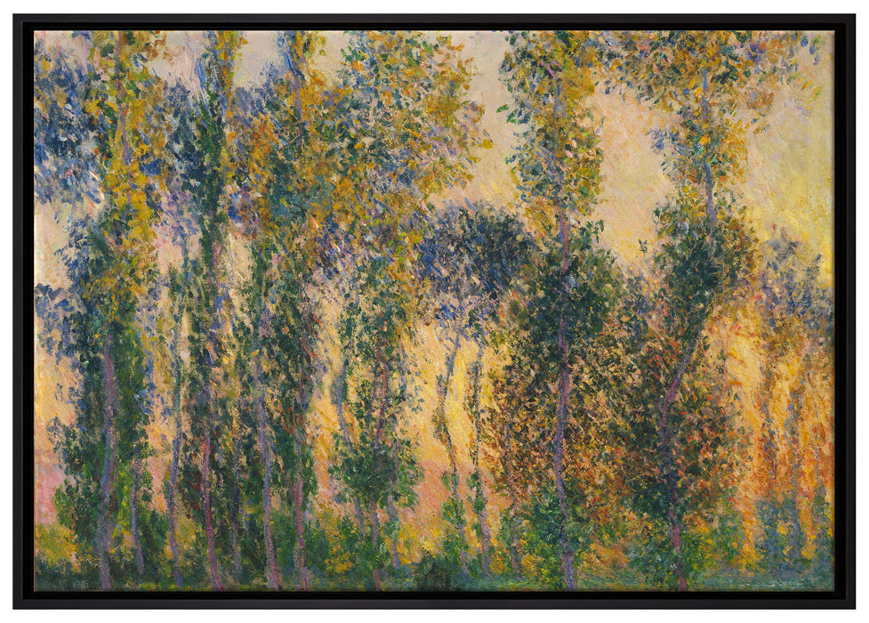 Claude Monet - Pappeln in Giverny bei Sonnenaufgang   auf Leinwandbild gerahmt Größe 100x70