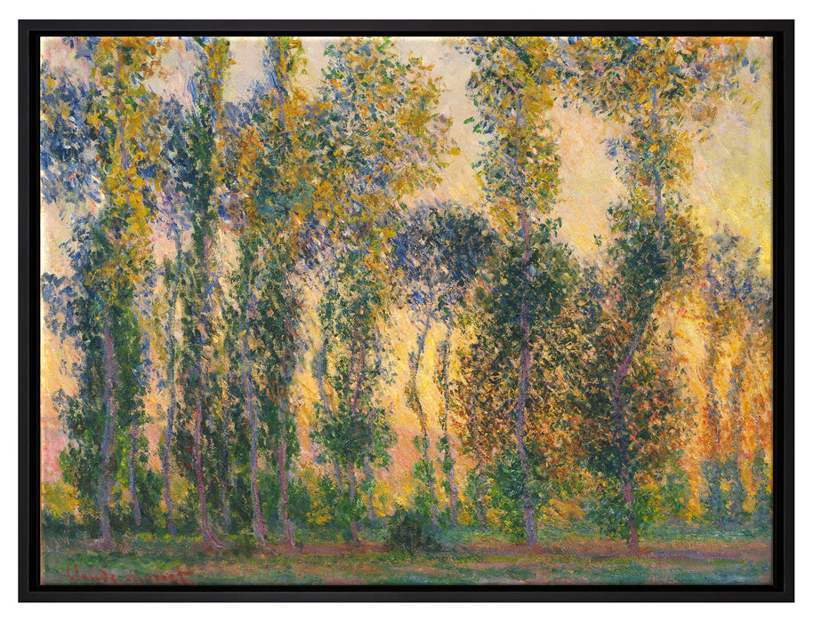 Claude Monet - Pappeln in Giverny bei Sonnenaufgang    auf Leinwandbild gerahmt Größe 80x60