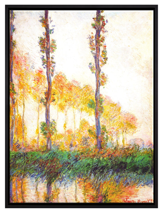 Claude Monet - Pappeln im Herbst   auf Leinwandbild gerahmt Größe 80x60