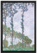 Claude Monet - PappelnWind-Effekt  auf Leinwandbild gerahmt Größe 60x40