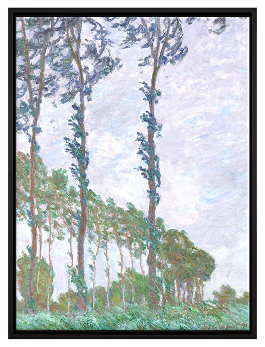 Claude Monet - PappelnWind-Effekt  auf Leinwandbild gerahmt Größe 80x60
