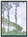 Claude Monet - PappelnWind-Effekt  auf Leinwandbild gerahmt Größe 80x60