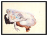 Egon Schiele - Hockende Frau in Stöckeln und schwarzen  auf Leinwandbild gerahmt Größe 80x60