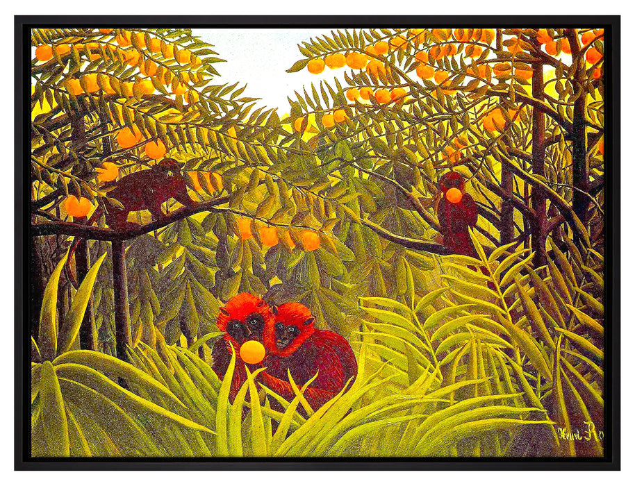 Henri Rousseau - Affen in den Orangen-Bäumen  auf Leinwandbild gerahmt Größe 80x60
