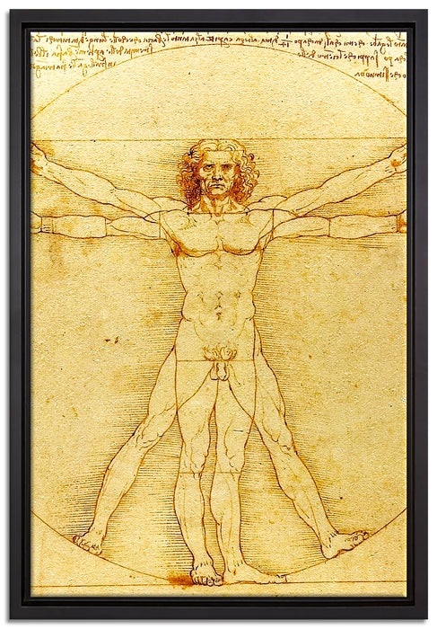 Leonardo da Vinci - Vitruvianischer Mensch  auf Leinwandbild gerahmt Größe 60x40