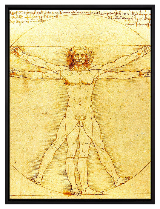 Leonardo da Vinci - Vitruvianischer Mensch  auf Leinwandbild gerahmt Größe 80x60