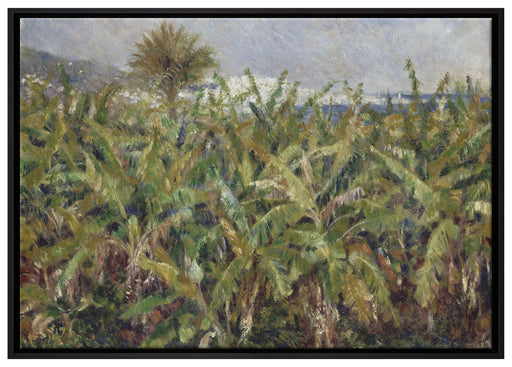 Pierre-Auguste Renoir - Feld mit Bananenbäumen  auf Leinwandbild gerahmt Größe 100x70