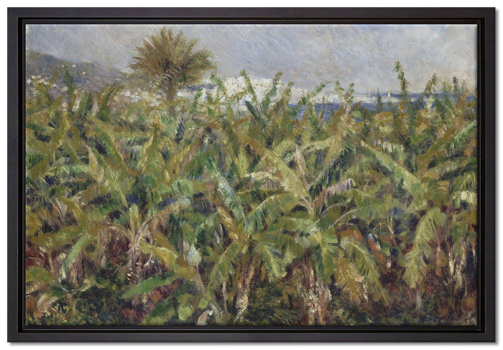 Pierre-Auguste Renoir - Feld mit Bananenbäumen   auf Leinwandbild gerahmt Größe 60x40