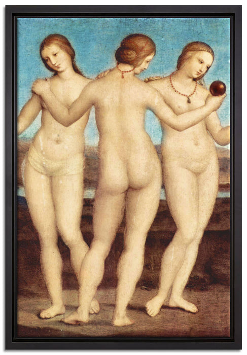 Raffael - Die drei Grazien   auf Leinwandbild gerahmt Größe 60x40