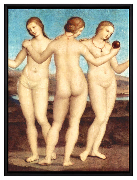 Raffael - Die drei Grazien   auf Leinwandbild gerahmt Größe 80x60