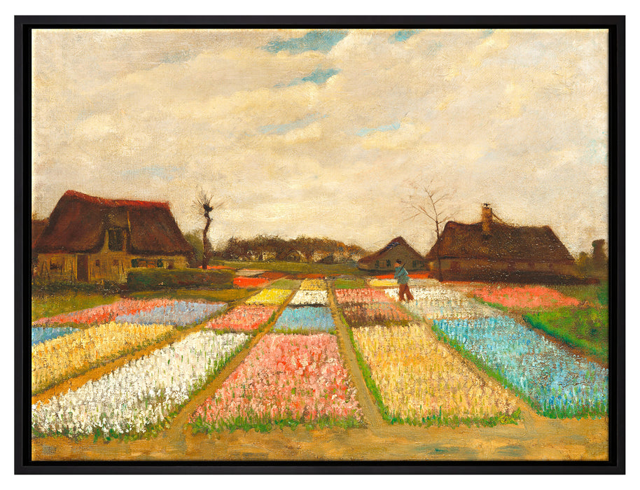 Vincent Van Gogh - Blumenbeete in Holland   auf Leinwandbild gerahmt Größe 80x60