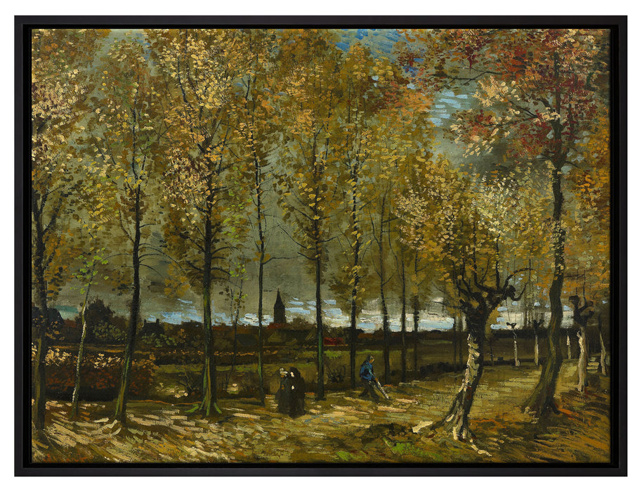 Vincent Van Gogh - Pappeln in der Nähe von Nuenen   auf Leinwandbild gerahmt Größe 80x60