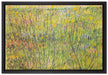 Vincent Van Gogh - Gras-Stelle   auf Leinwandbild gerahmt Größe 60x40