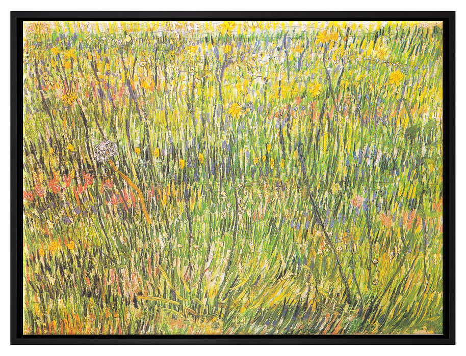 Vincent Van Gogh - Gras-Stelle   auf Leinwandbild gerahmt Größe 80x60